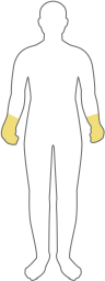 clothing