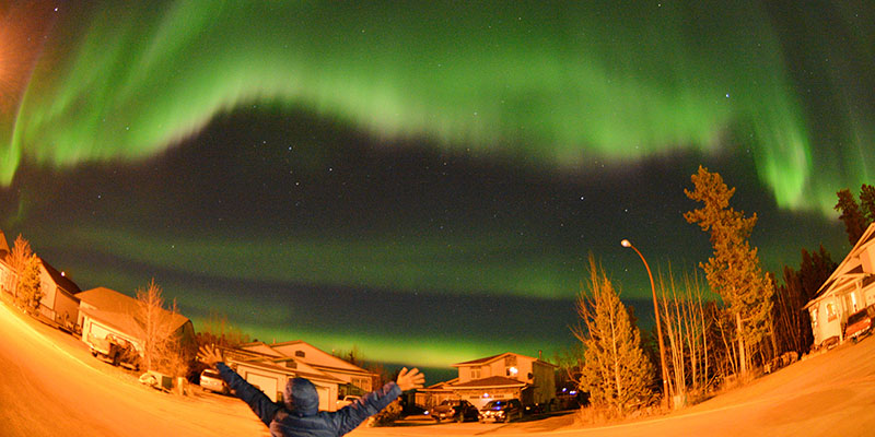 AURORA WHITEHORSE